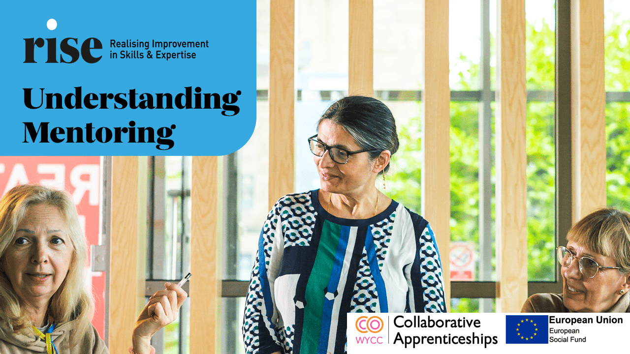 Understanding mentoring