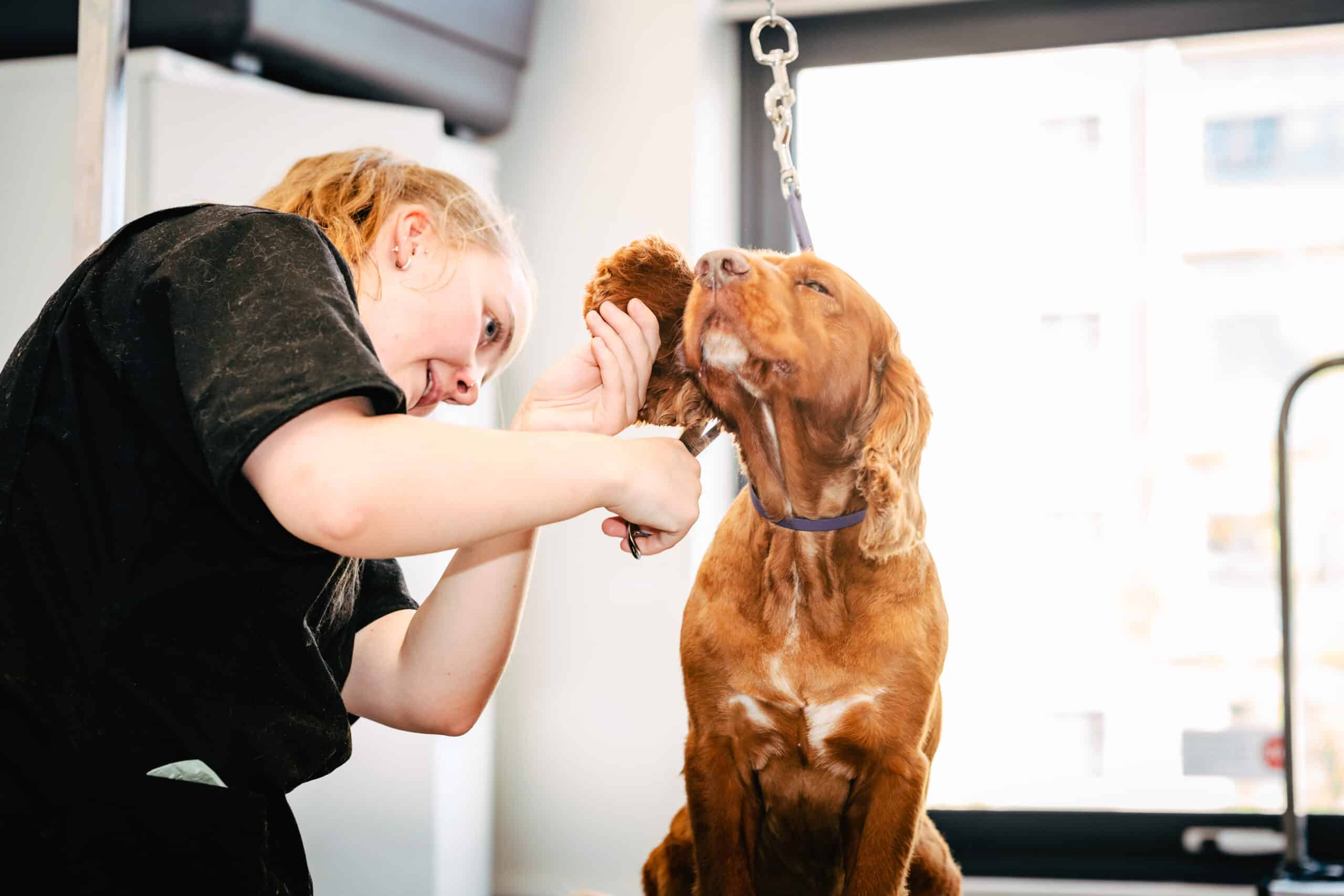 New courses starting in 2026