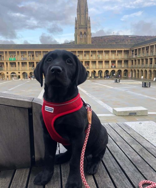 Piece Hall